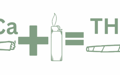 What is THCA? A Complete Beginner’s Guide