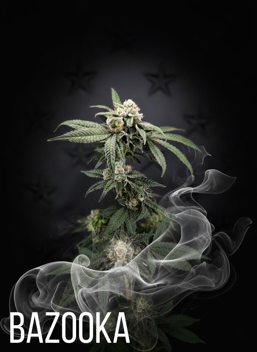 Bazooka | Out of Stock