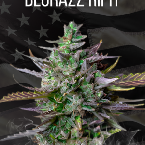 BluRazz RipIt