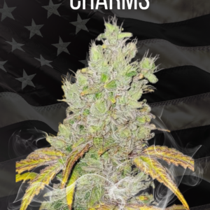 CHARMS