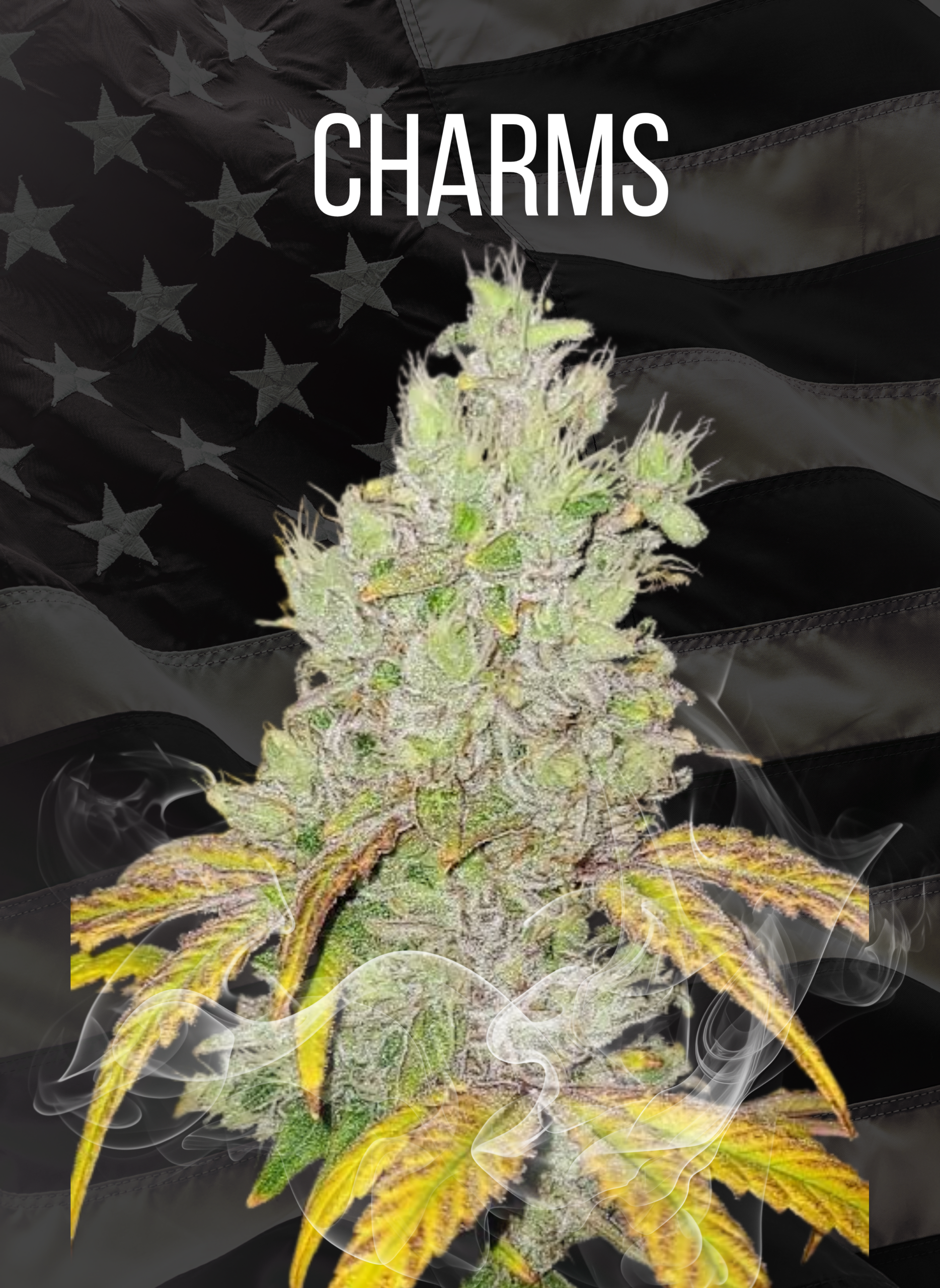 CHARMS